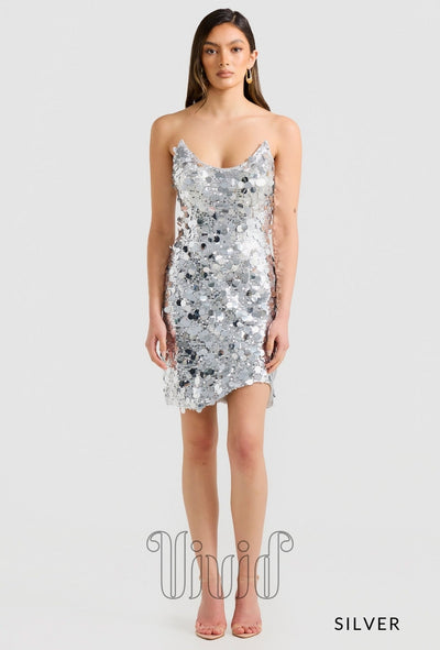 Derma Department Galaxy Sequin Dress in Silver / Silvers